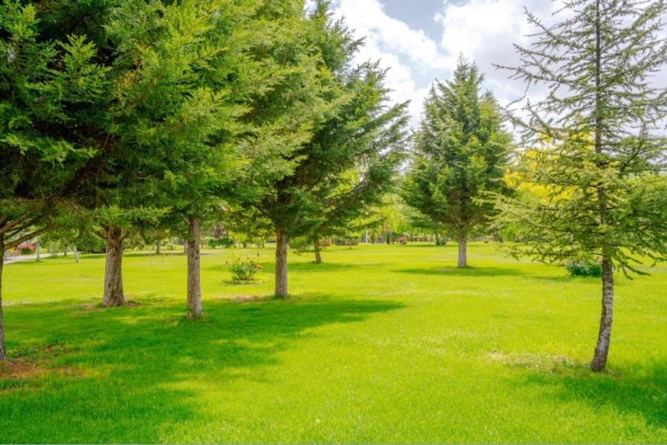 Afyonkarahisar Korel Thermal Resort מראה חיצוני תמונה